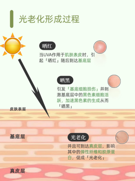 光老化=80%皮肤衰老！别让“隐形伤害”毁了好肤质 - 锶为智造